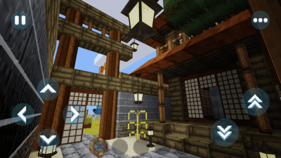 Screenshot of the application Maxi Craft Exploration Master - #8