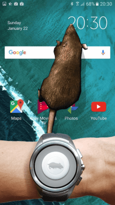 Screenshot of the application Mouse on screen Scary Joke - #11