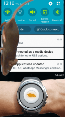 Screenshot of the application Mouse on screen Scary Joke - #13