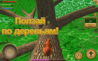 Screenshot of the application Squirrel Simulator - #3