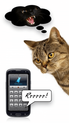 Screenshot of the application Cat voices - play with your cat! - #2