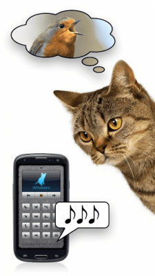 Screenshot of the application Cat voices - play with your cat! - #3