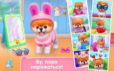 Screenshot of the application Boo is the cutest dog! - #1