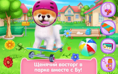 Screenshot of the application Boo is the cutest dog! - #4