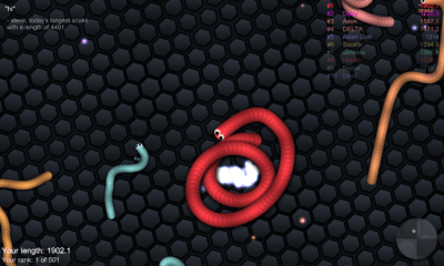 Screenshot of the application slither.io - #5