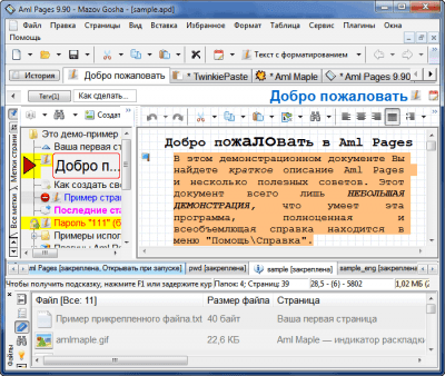 Screenshot of the application Aml Pages - #5
