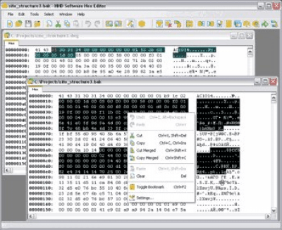 Screenshot of the application Hex Editor v3.10 - #1