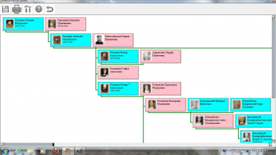 Screenshot of the application Genealogical family tree - #2