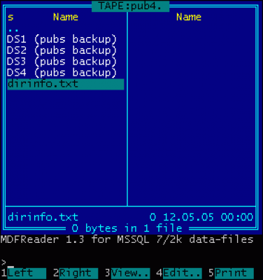 Screenshot of the application MDF Reader for MS-SQL 7/2k - #5