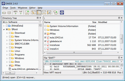 Screenshot of the application DMDE (DM Disk Editor and Data Recovery) - #1