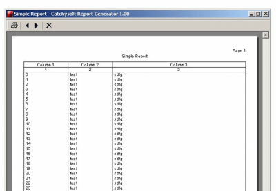 Screenshot of the application Catchysoft Report Generator Pro - #1