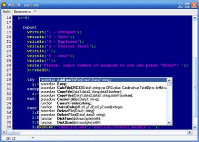 Screenshot of the application WinScript - #1