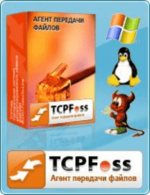 Screenshot of the application TcpFoss - #2