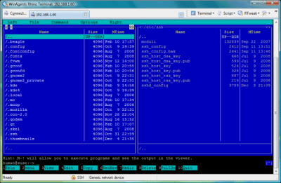 Screenshot of the application Rhino Terminal - #1