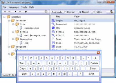 Screenshot of the application LSN Password Safe - #1