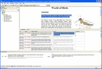 Screenshot of the application Excitic Website Localization Tool - #1