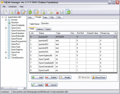 Screenshot of the application Tahion SQLite Manager (cross platform) - #1