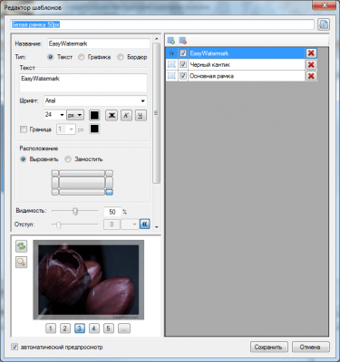 Screenshot of the application EasyWatermark - #6