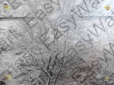 Screenshot of the application EasyWatermark - #9