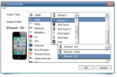 Screenshot of the application ACDSee Video Converter - #1