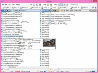 Screenshot of the application Directory Opus - #3