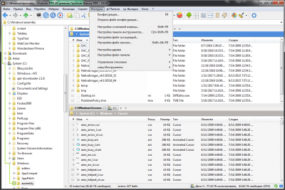 Screenshot of the application XYplorer - #5