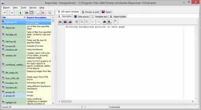 Screenshot of the application Reportizer - #1