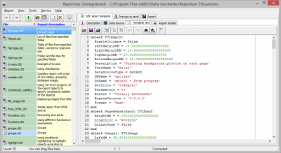 Screenshot of the application Reportizer - #3