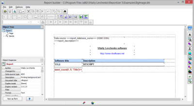Screenshot of the application Reportizer - #6