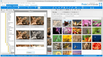 Screenshot of the application Ashampoo Photo Commander - #3