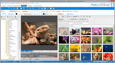 Screenshot of the application Ashampoo Photo Commander - #4