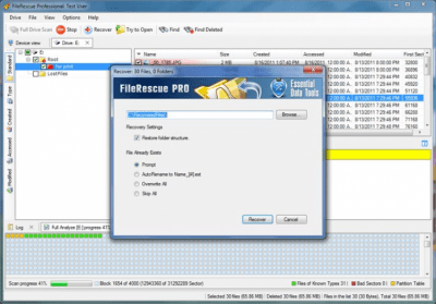Screenshot of the application FileRescue Pro - #3