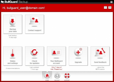 Screenshot of the application BullGuard Backup - #1