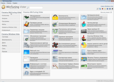 Screenshot of the application WinTuning Vister - #1