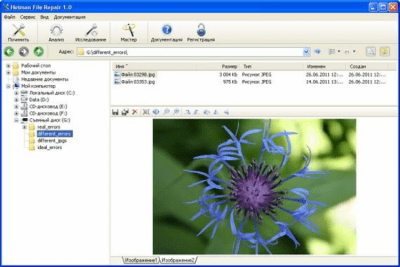 Screenshot of the application Hetman File Repair - #1