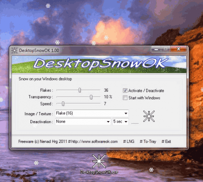 Screenshot of the application DesktopSnowOK - #1