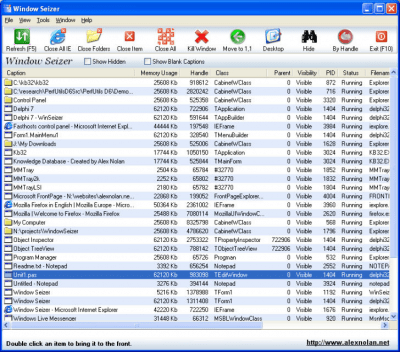 Screenshot of the application Window Seizer - #1