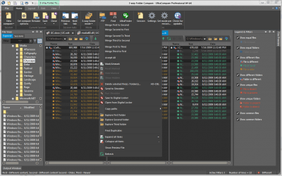 Screenshot of the application UltraCompare - #4