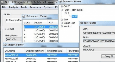 Screenshot of the application NPE File Analyzer - #1