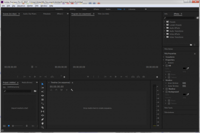 Screenshot of the application Premiere Pro - #2
