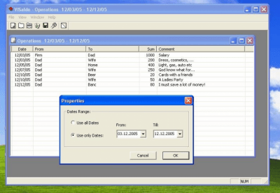 Screenshot of the application VISaldo - #3