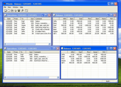 Screenshot of the application VISaldo - #4