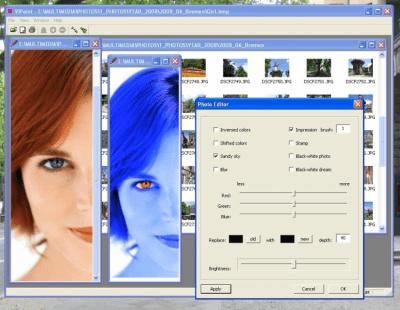 Screenshot of the application VIPaint - #3