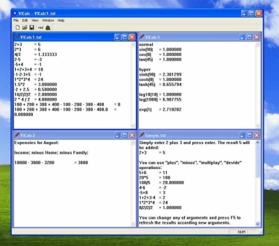 Screenshot of the application VICalc - #1