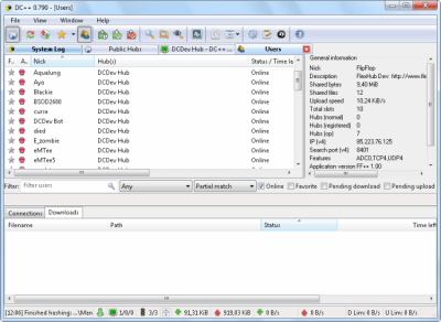 Screenshot of the application DC++ - #4