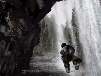 Screenshot of the application Harry Potter and the Goblet of Fire - #6