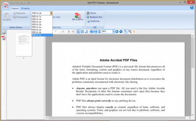 Screenshot of the application Solid PDF/A Express - #2