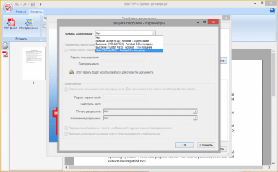 Screenshot of the application Solid PDF/A Express - #5