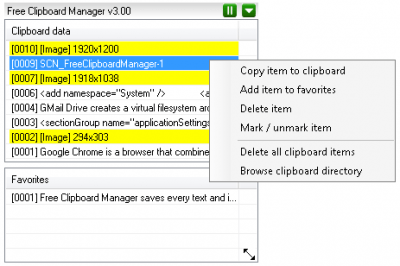 Screenshot of the application Free Clipboard Manager - #5