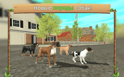 Screenshot of the application Dog Simulator Online - #3